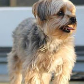 Lynn Martz's photo