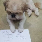 Foto de Ruby Khong