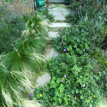 Mediterranean Garden landscaping in Chiswick