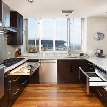 South Loop Kitchen Remodeling