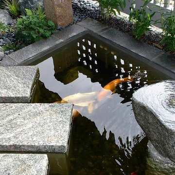 Koi pond