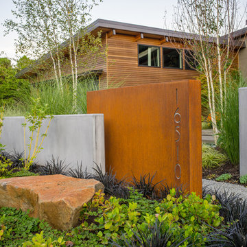Lakeside Modern