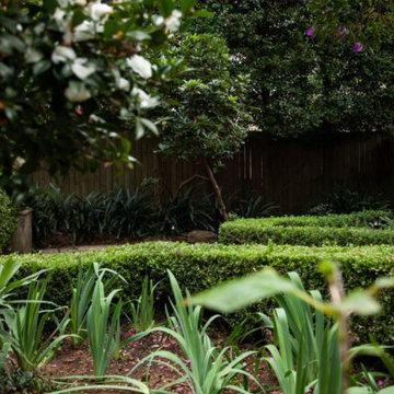 Townhouse courtyard garden - Edgecliff Sydney