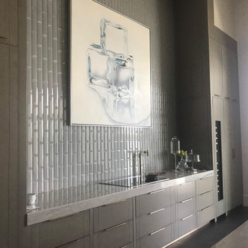Contemporary Modern | Kitchen Cabinets