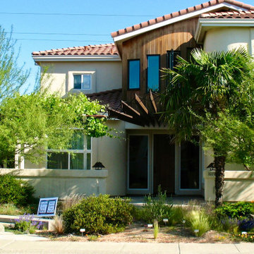 Rain Garden