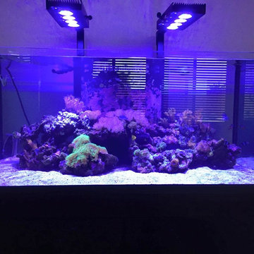 DSA Rimless Aquarium
