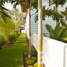 Florida Landscape
