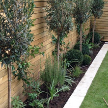 Garden Re-do 2020