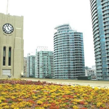 Green Roofs