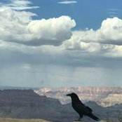 Kayla Mcdaniel's photo