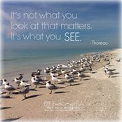 Denise Brock's photo