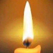 Pam Lowery's photo