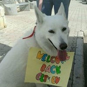 Evangeline Busuttil's photo