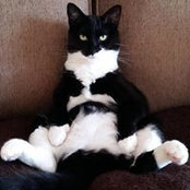 Leslie McEachern's photo