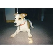 Sandy Pierce's photo