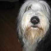 Foto von Trudy Gaughran