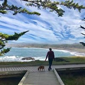 Shelley Tregoning's photo