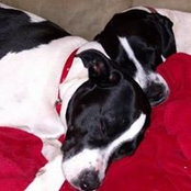 Missy Keiper Unkle's photo