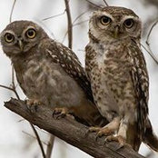 Karen Silva's photo