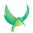Kingfisher Decking's profile photo