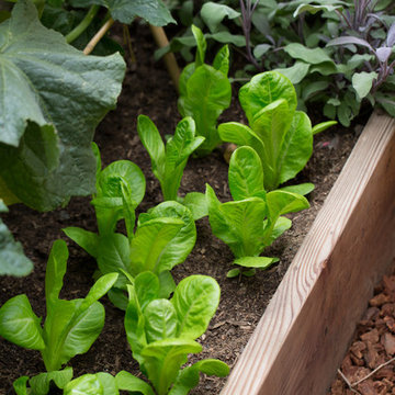 Pine House Edible Gardens
