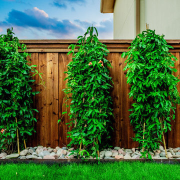 Side Yard Mastery | Maximizing Space in Carrolton