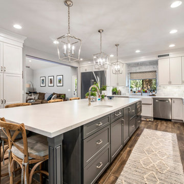 Contemporary Kitchen Remodel