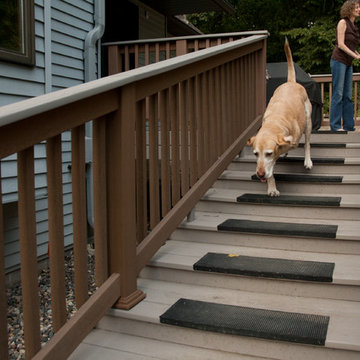 These Stairs Are for the Dogs
