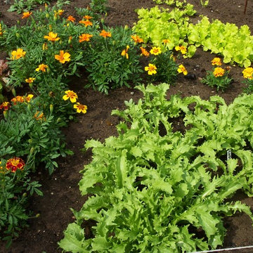 Gardens on Cape Cod