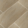 MSI NARI2448P Aria - 24" x 48" Rectangle Floor Tile - Polished - Bianco