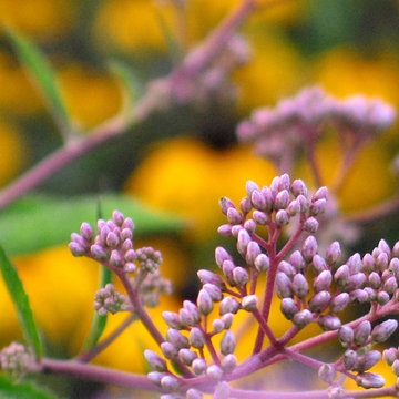 All About Color