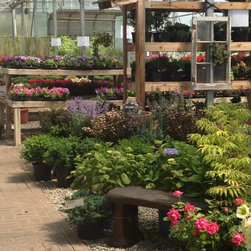 Garden Center 2014 - Products