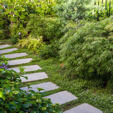 Stepping Stones