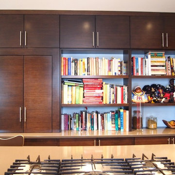 Mid-century kitchen remodel