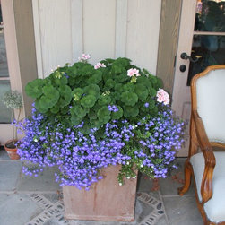 Annual Custom Containers - Outdoor Pots And Planters