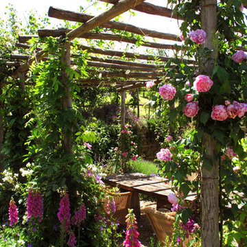 Chianti House Pergola with Roses