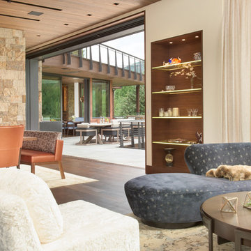 Contemporary Vail Home