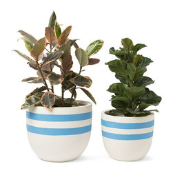 Milk Bottle Pot | Pop & Scott - Indoor Pots And Planters