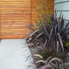 Fence ideas