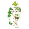 Multi-Layer Indoor Iron Flower Stand for Indoor Porch, Balcony, Gold
