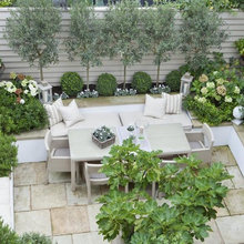 Small Urban Garden scapes