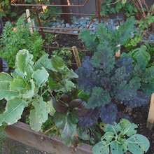 Gardens