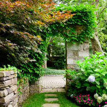 Landscape Ideas