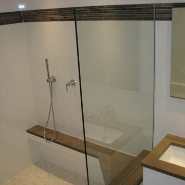 Contemporary Master Bath