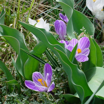 Unforgettable Bulb Display