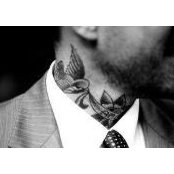 Plesant Phesant's photo