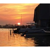 Virginia Rice's photo