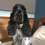 Adam Telford's photo