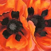 Rosie Miller's photo