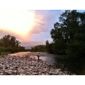 Nick Cobler's photo